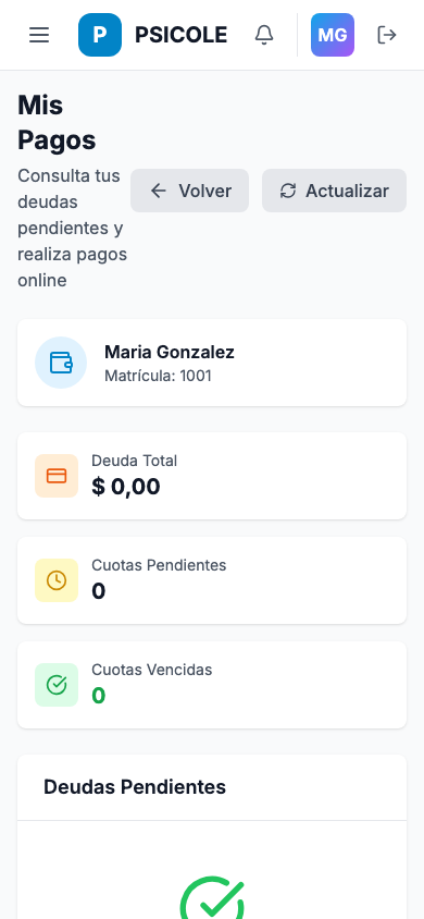 Panel de pagos online del colegiado — móvil
