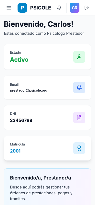 Portal de carga de órdenes de obra social — móvil
