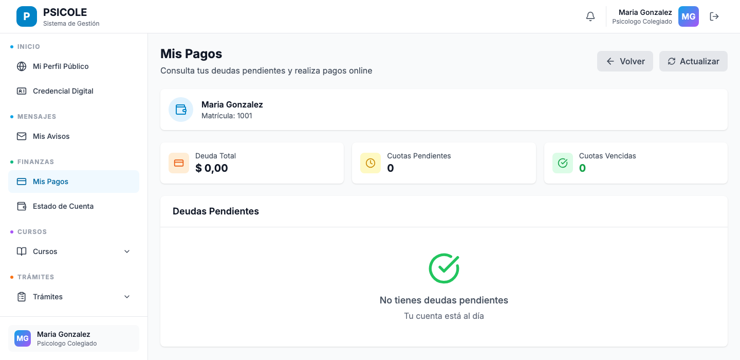 Panel de pagos online del colegiado